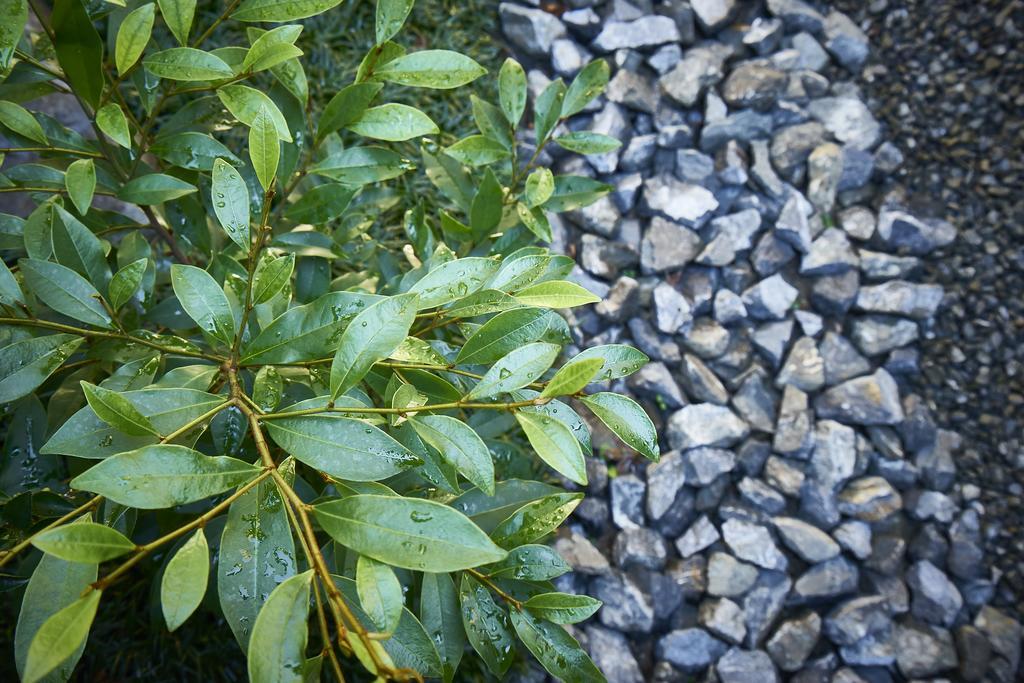 九宿 Kushuku Kjóto Exteriér fotografie